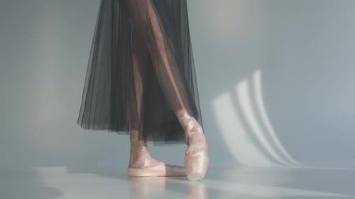 Elegant Ballet Dancer Poses in Pointe Shoes and Tutu
