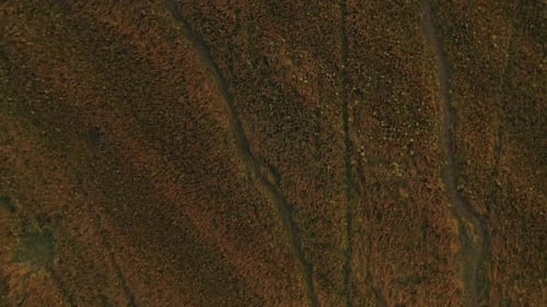 Grass Field Top View