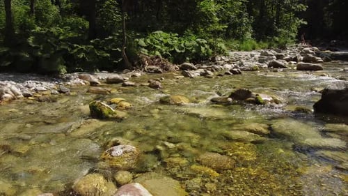 Mountain River at Summer
