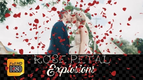Falling Red Rose Petals Alpha Overlay