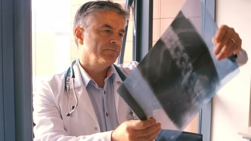 Doctor Examining Spinal X-Ray in Medical Office