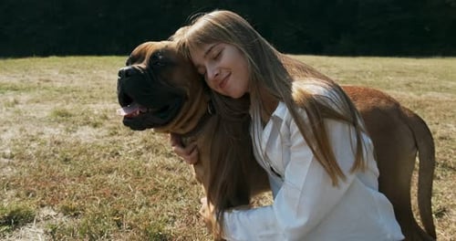 Girl Cuddles Large Dog in Sunny Grassy Field