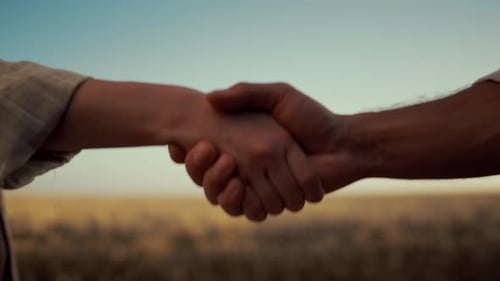 Farmers Shake Hands at Golden Harvest Field Closeup