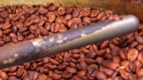 Coffee Beans Stirred in Roasting Machine