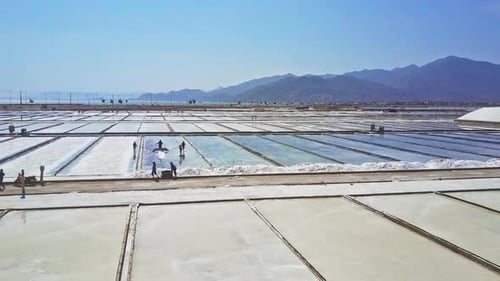 Les gens travaillent sur une plantation de sel divisée en terrains