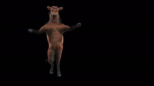 Dancing Brown Furry Horse-like Creature Animation