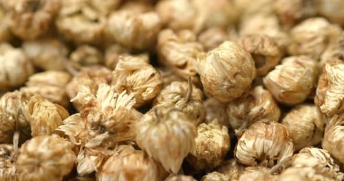 Dried Chrysanthemum Flowers Piled in a Close-Up Shot