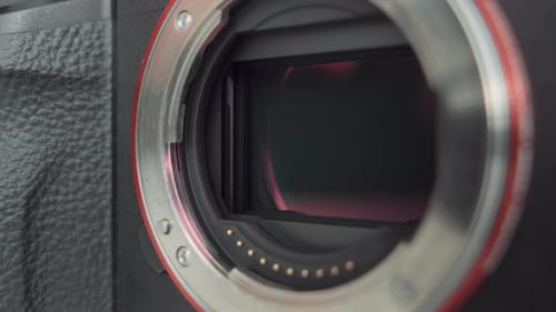 Shutter operation on a full frame camera. Single shooting mode. Extreme close up