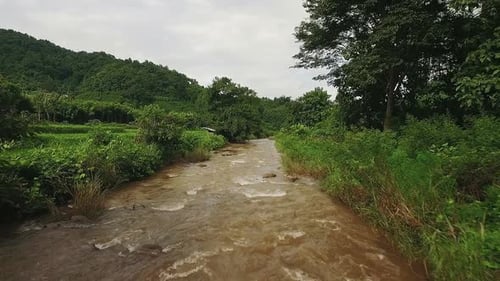Fluss Stream 06
