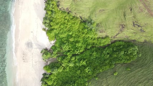 Tropical Beach