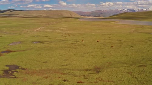 Prairies et montagnes de Bayinbuluku