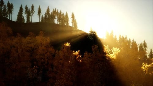 Coucher de soleil radieux dans les montagnes avec la forêt