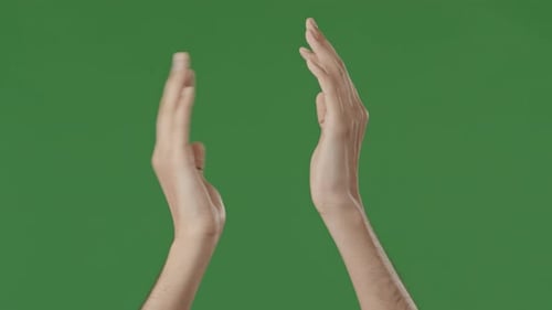 Male Careful Hands Silhouette of Young Man Guy Clapping on Green Studio Applauding Palms Greeting