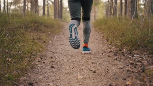 Man Runs Along Narrow Path in Old Pine Forest Back View