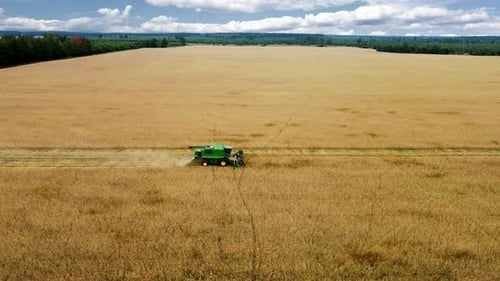 Drone flying over combine harvester working on wheat field in a sunny bright day