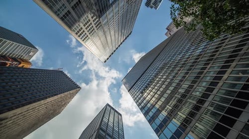 Skyscrapers Low Angle