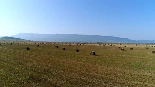 Luftbild ländliches Feld mit Heuhaufen