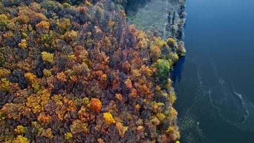 Drone Flying Over the Autumn Forest