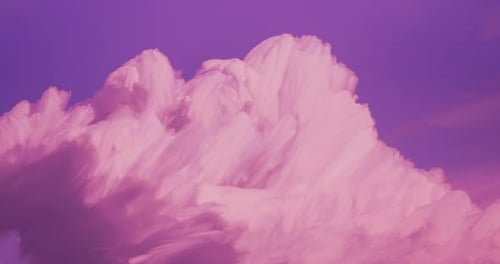 Pink Clouds Drifting in a Purple Sky