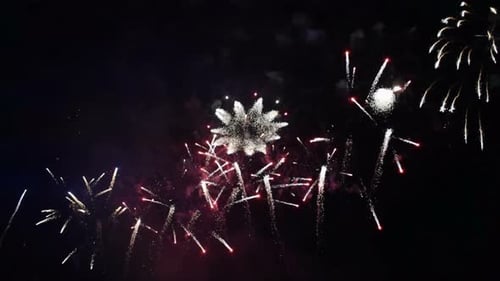 Colorful Fireworks Exploding in the Dark Sky