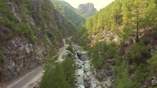 Eine kurvenreiche Straße entlang des Flusses und des Nadelwaldes in der Schlucht der Berge der Türkei