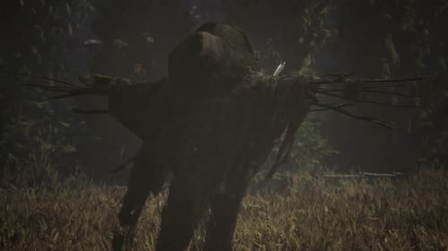 Scarecrow on the Old Village Field