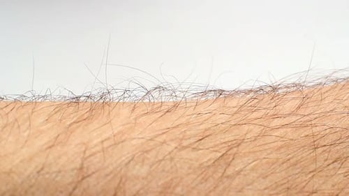 Arm Hair Detail Close Up View