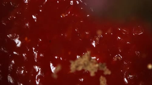 Red Sauce Cooking with Ingredient Macro Shot