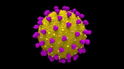 Rotating 3D Virus Particle with Alpha Channel
