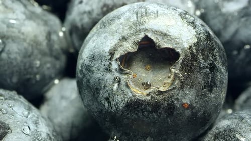 Macro view of blueberry in pile