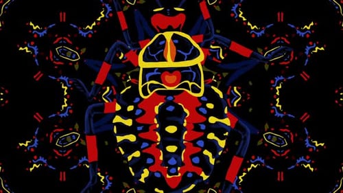 Psychedelic Abstract Animated Beetle Loop