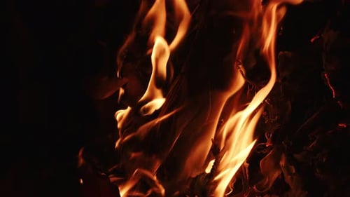 Close Up Fire Burning in the Dark