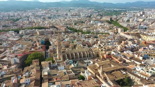 Vídeo aéreo Zumbido Famosa Catedral de La Seu en Palma De Mallorca España