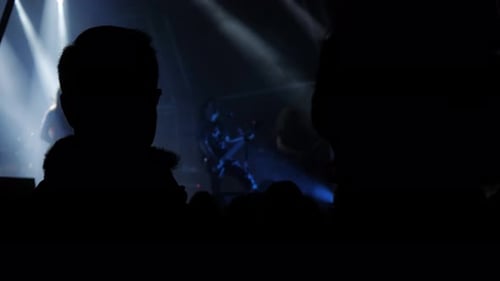 Rear View of Festival People Crowd Raising Their Hands. Open Air Concert Hip Hop Rap Music Students