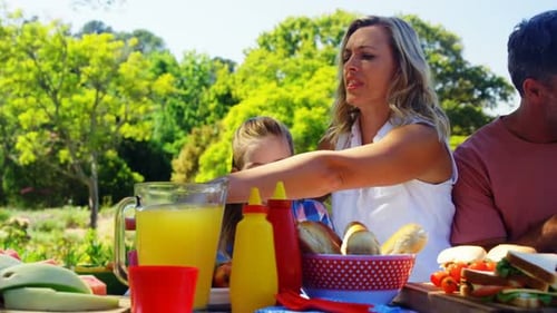 Happy family having meal in park 4k
