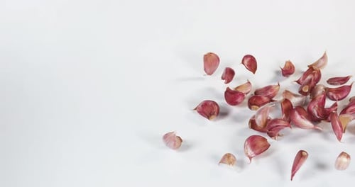 Garlic, allium savitum, Falling against White Background, Slow motion 4K
