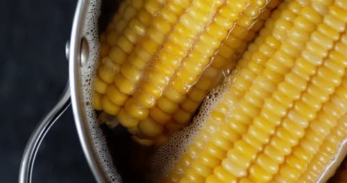 Close Up of Corn Boiling in a Pot