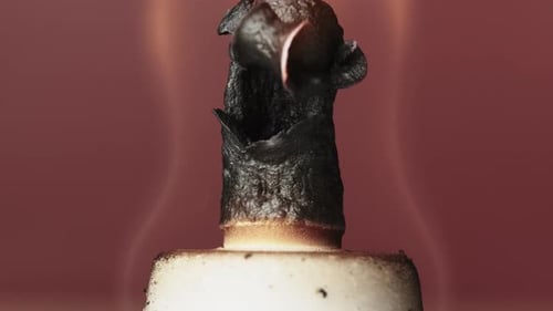 Pharao Snake Chemisches Experiment zum Erhitzen von Kalziumgluconat auf trockenem Alkohol