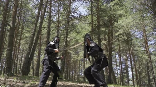 Medieval Swordsmen Fighting in Sunny Forest