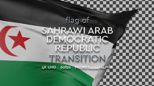 Flag of Sahrawi transition | UHD | 60fps