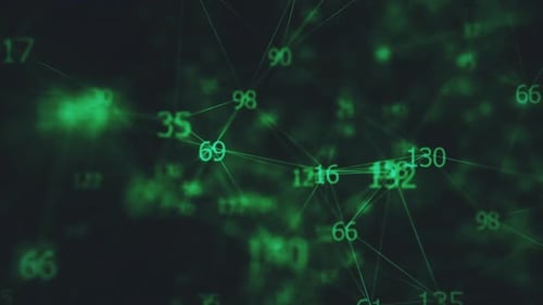 Network Connection Numbers