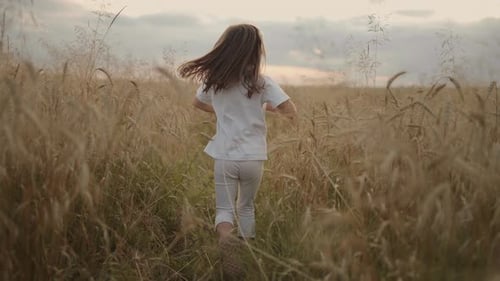 Slow Motion the Camera Follows a Little Girl of 45 Years Old Running in a Field of Grain Golden