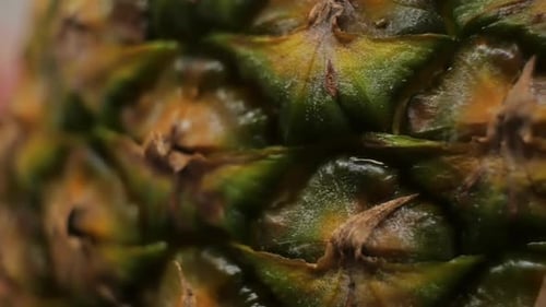 Makroaufnahme tropischer Ananasfrucht