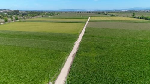 Farmer Field Aerial View