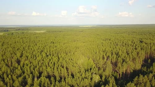 Green Nature
