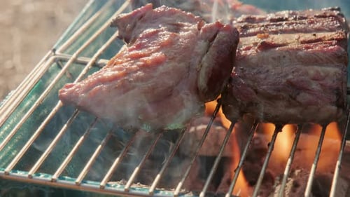 Köstliches gegrilltes Schweinefleisch auf Holzkohlegrill mit Rauch und Flammen, Nahaufnahme.