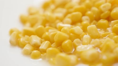 Close Up of Golden Corn Kernels