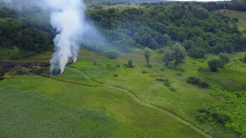 Aerial Footage From Drone of a Fire Approaching Green Forest. Flight Through a Smoke Over Burning