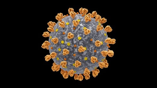 Scientific 3D Animation of a Rotating Virus Particle