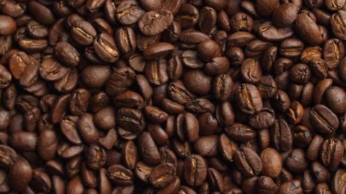 Roasted Coffee Beans Close Up Detailed View
